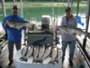(08/13/2018) - Nice Striped Bass